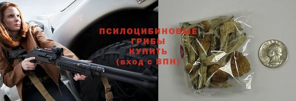 ПСИЛОЦИБИНОВЫЕ ГРИБЫ Балахна