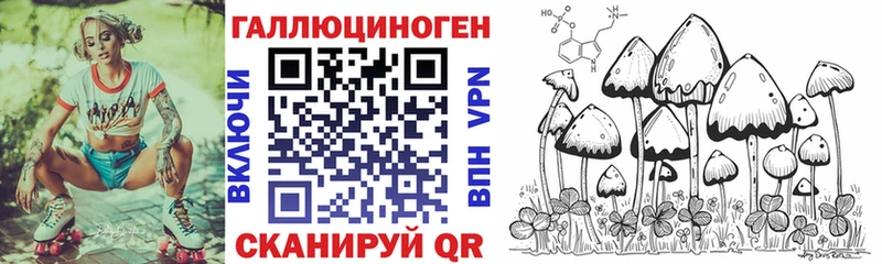 blacksprut зеркало  Верхний Тагил  Псилоцибиновые грибы Psilocybe 